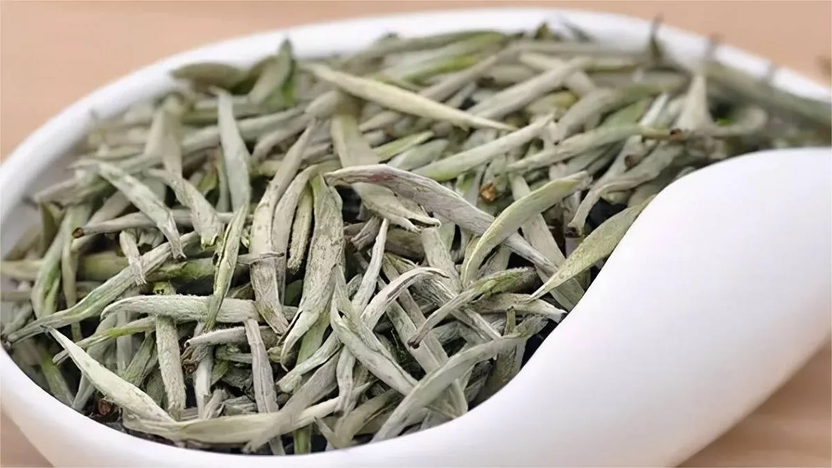 baihao yinzhen