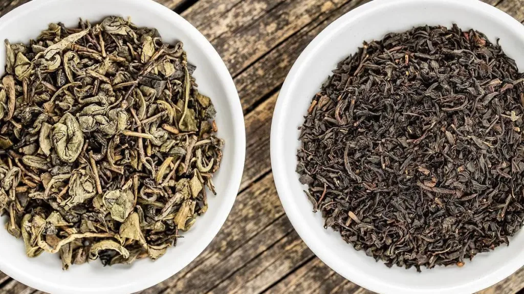 Are green tea and black tea from different plants?